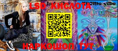 твердый Новозыбков