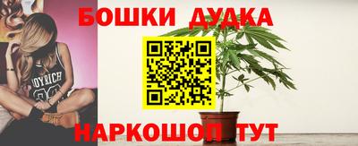 твердый Новозыбков