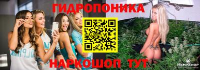 тгк Новокубанск