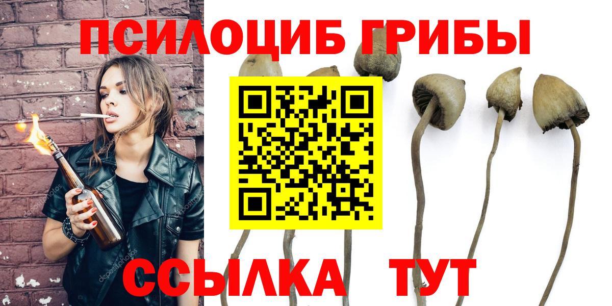 Псилоцибиновые грибы прущие грибы  Галлюциногенные грибы Magic Shrooms  Ульяновск  Вход с VPN 