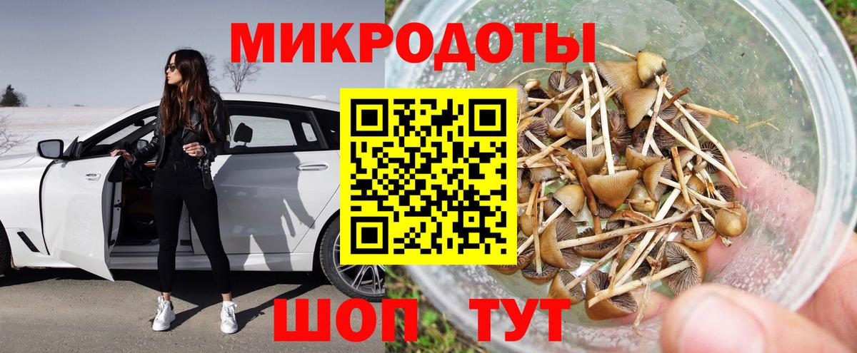Псилоцибиновые грибы GOLDEN TEACHER Ульяновск